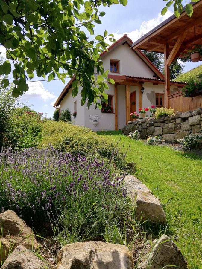 Willa Charming House With Beautiful Landscape Frýdštejn Zewnętrze zdjęcie
